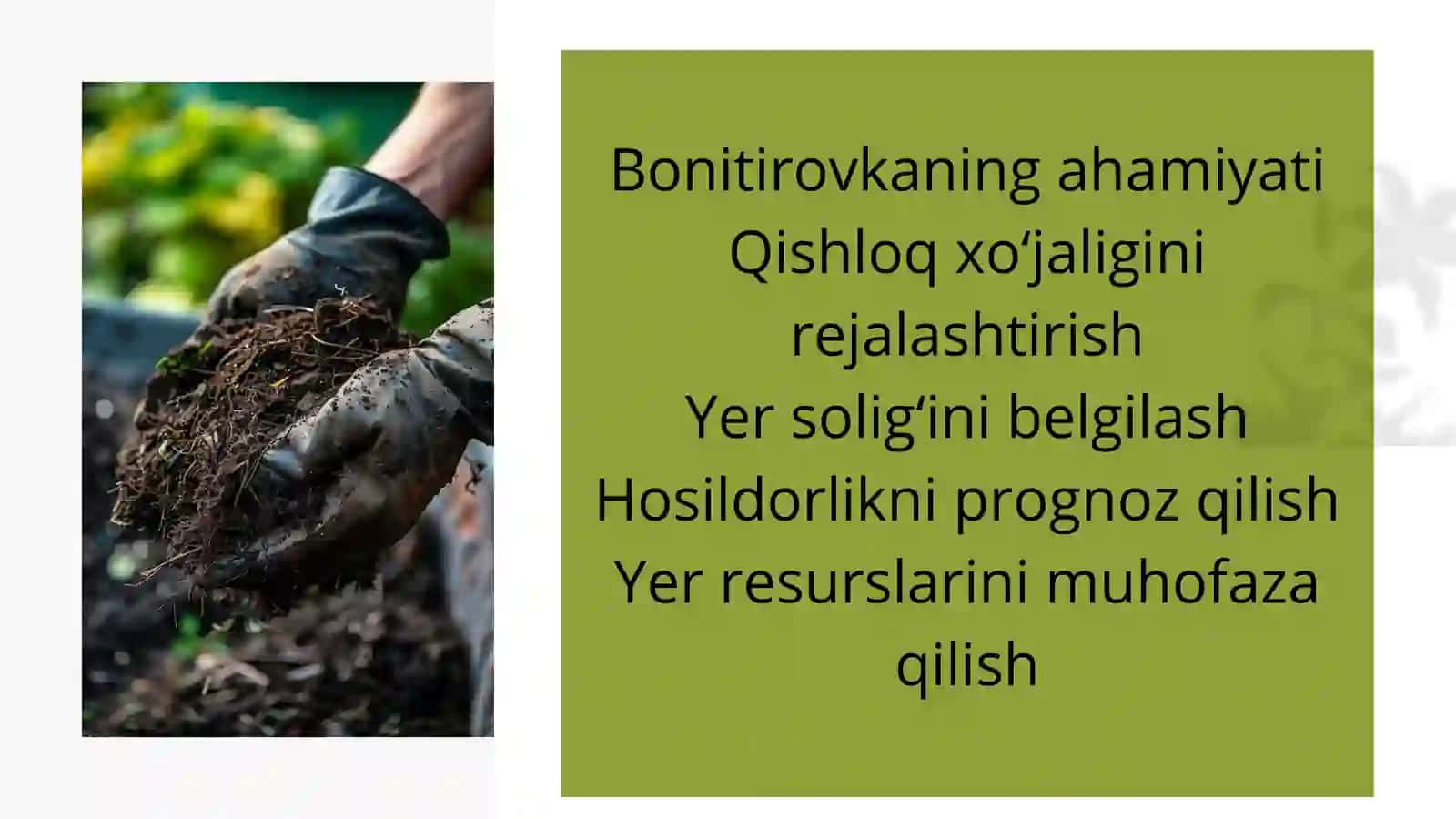 Tuproqlar bonitirovkasi tarixi 4
