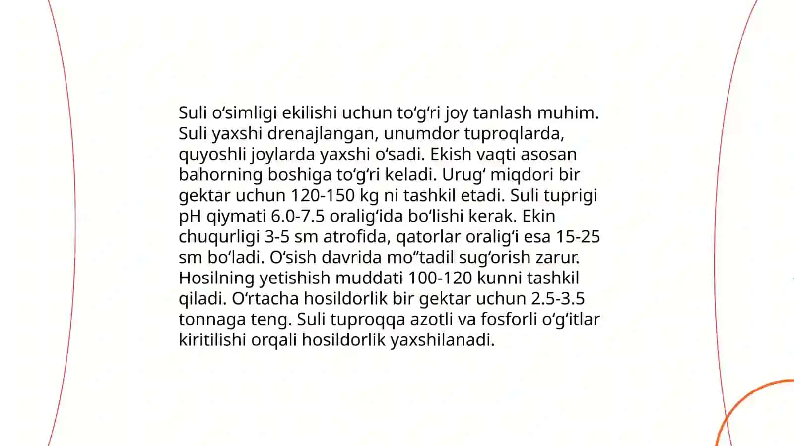 Suli o'simligi 4