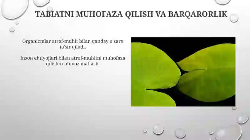 Organizm va muhit 4