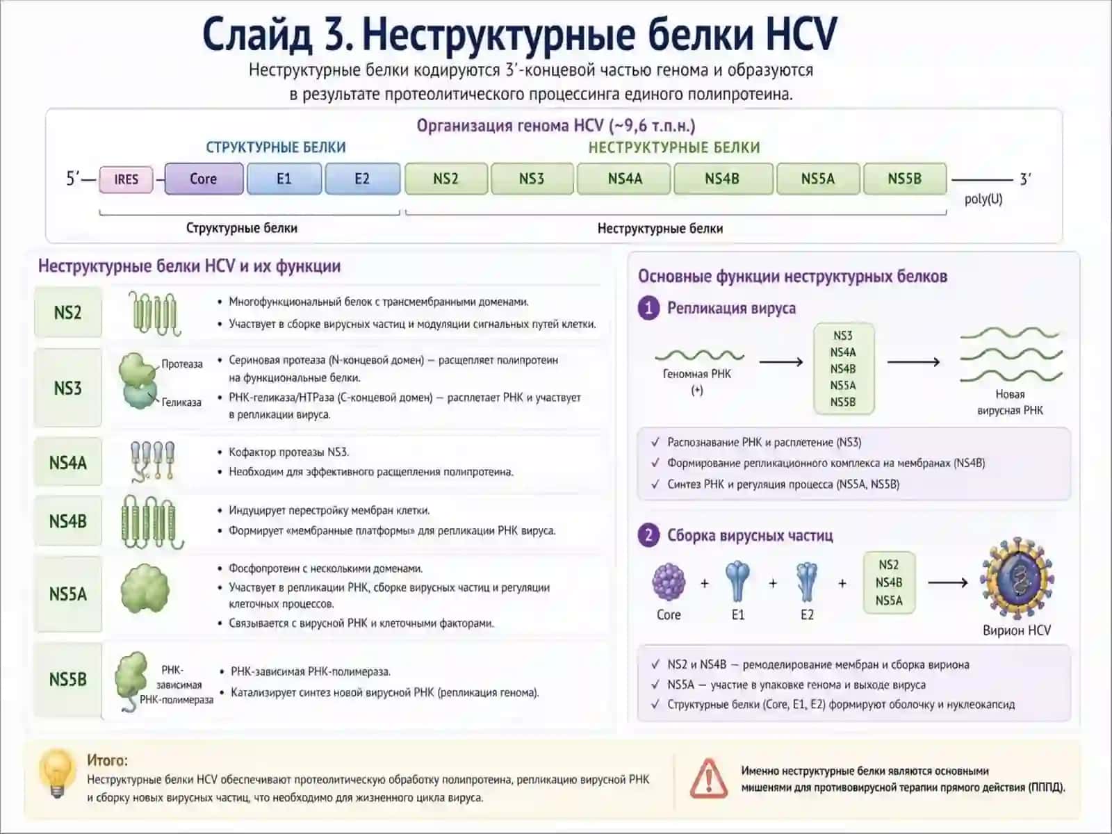 Гепатит С 4