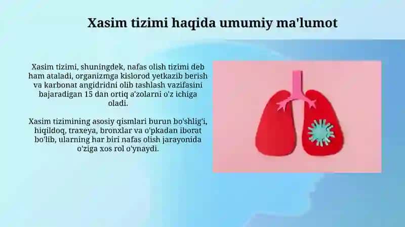 Xasim tizim azolari nafas olish orginlarning tuzilishi 4