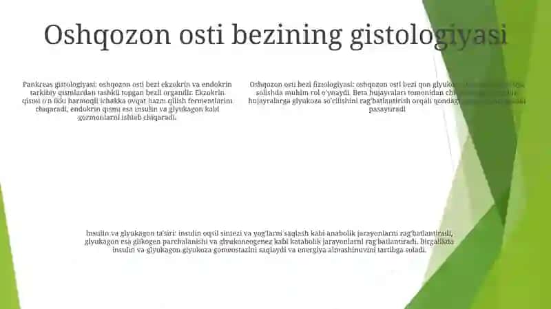 Me’Da Osti Va Buyrak Usti Bezlari Fiziologiyasi 4