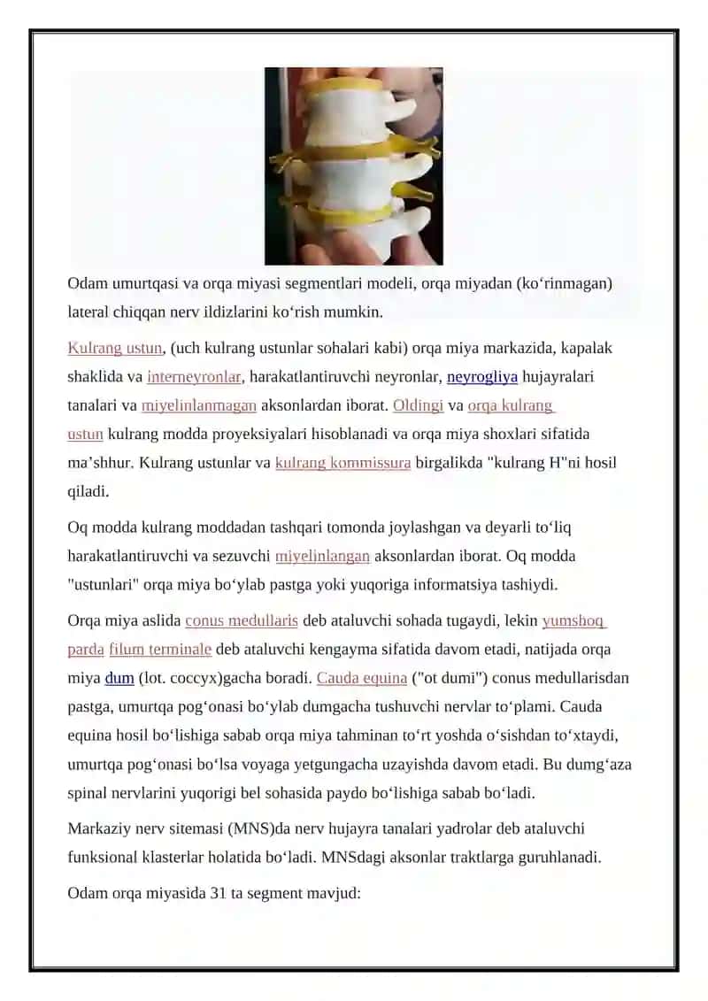Orqa miya 4