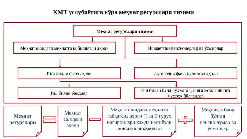 Меҳнат ресурсларининг шаклланиши ва улардан фойдаланиш(1-машғулот) 4