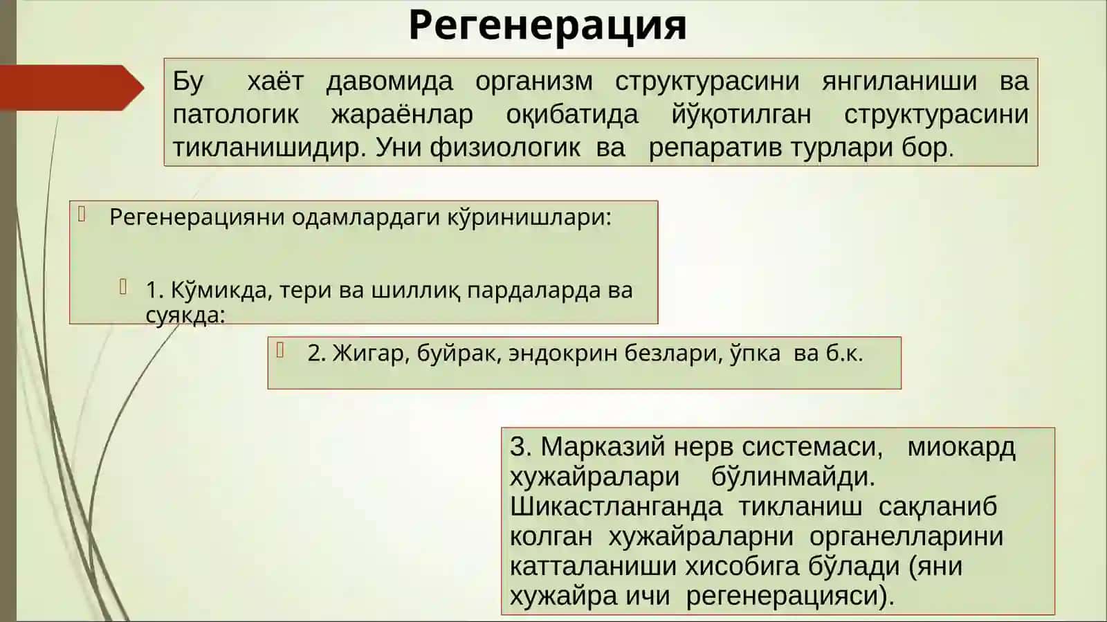 Усма хужайраларини келиб чикишидаги ахамияти 4