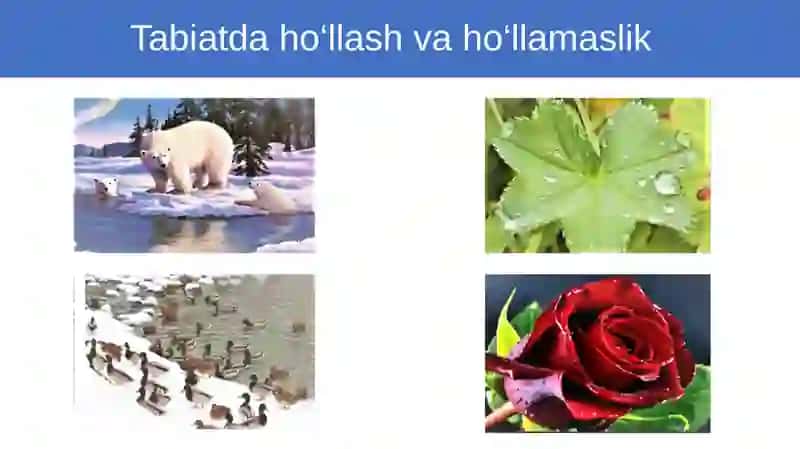 Ho‘llash.Kapillyar hodisalar 4