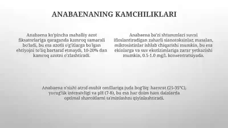 Anabaena suv oʻtlari: Xususiyatlari va afzalliklari 4