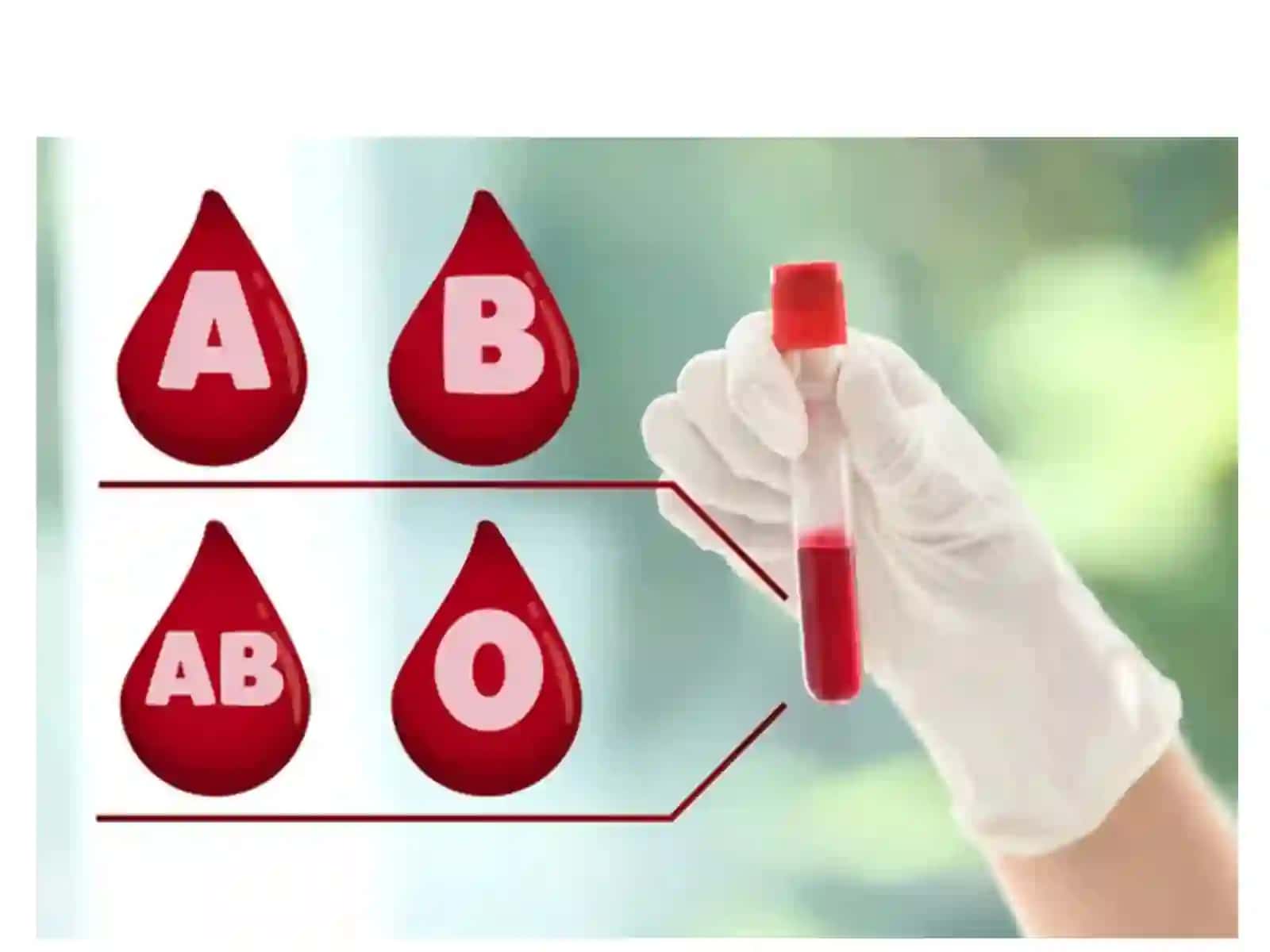 Medical BiologyLab.5Dr.Khadija Abbas 4