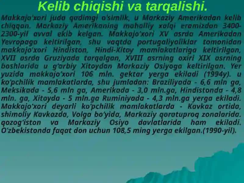Makkajo‘xori ahamiyati, biologiyasi va yetishtirish texnologiyasi 4