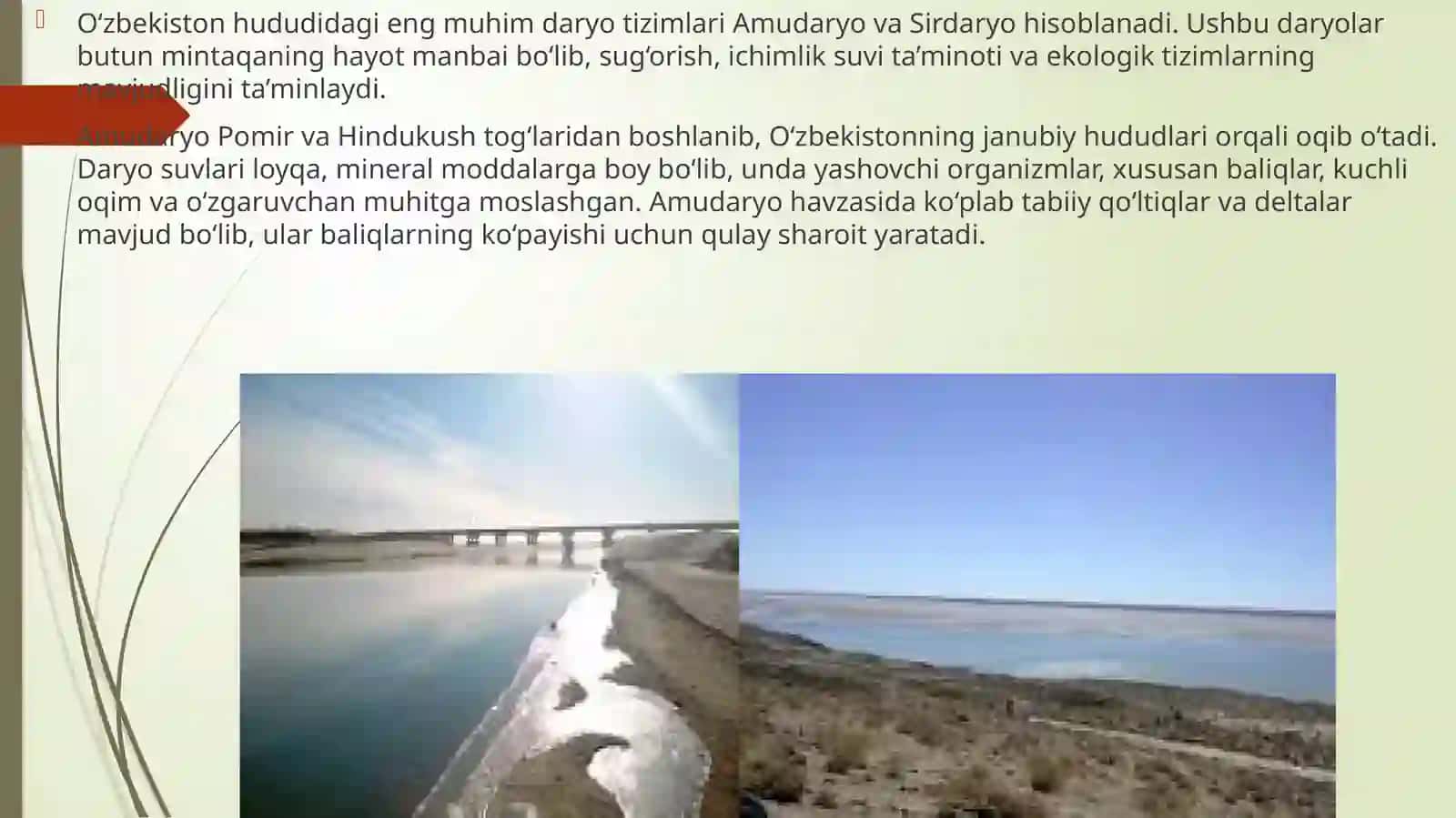 O‘zbekiston Suv Havzalarining Yuqolib Borayotgan Noyob Baliq Turlari 4