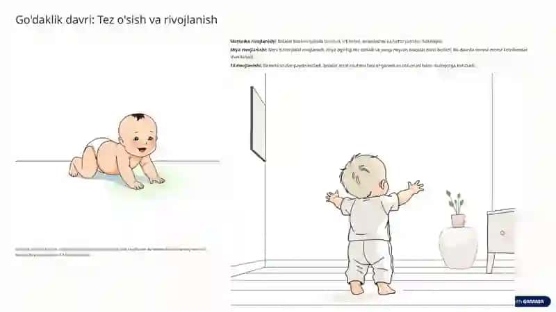 Bolalar yoshiga oid anatomik va fiziologik xususiyatlar 4