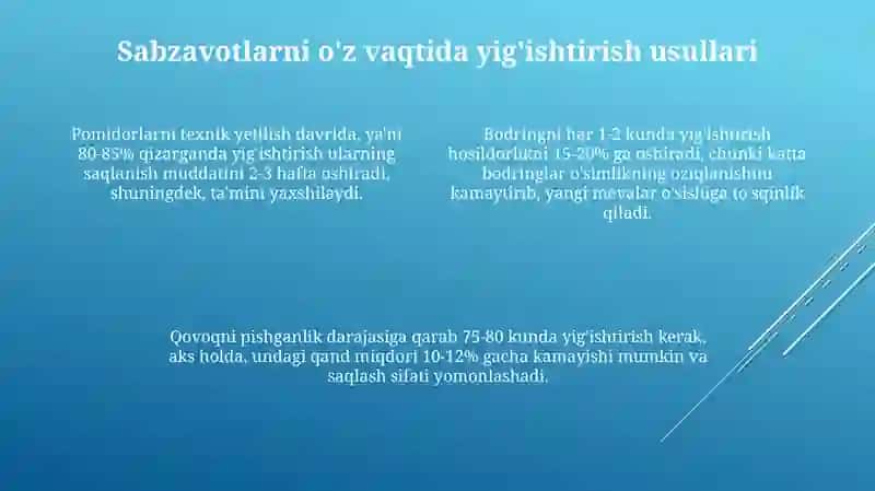 Kartoshka hosilini yig'ishtirish 4