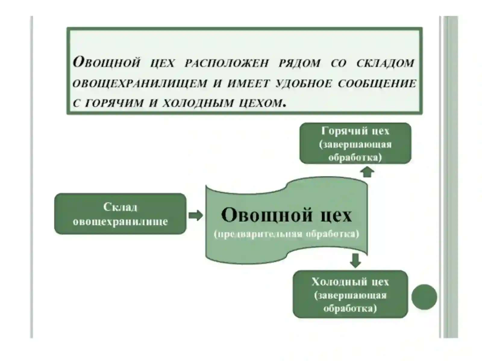 Технологические линии и машины для предварительной обработки плодо-овощных продуктов 4