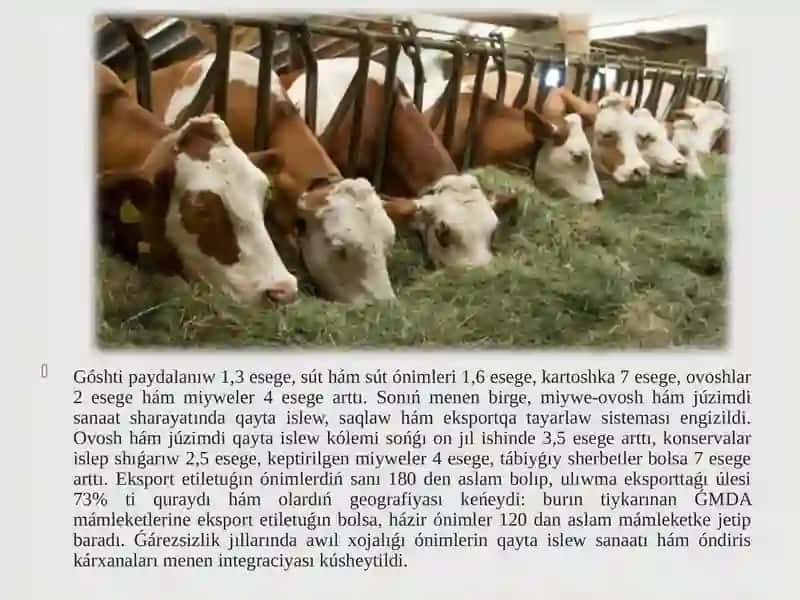 Jıllarında awıl xojalıǵı hám sanaat tarawındaǵıózgerisler 4