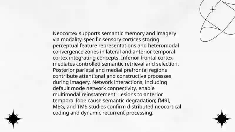 memory and imagination neurophysiological foundations, types and processes 4