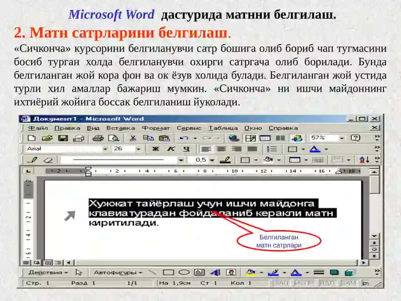 Microsoft Word 4