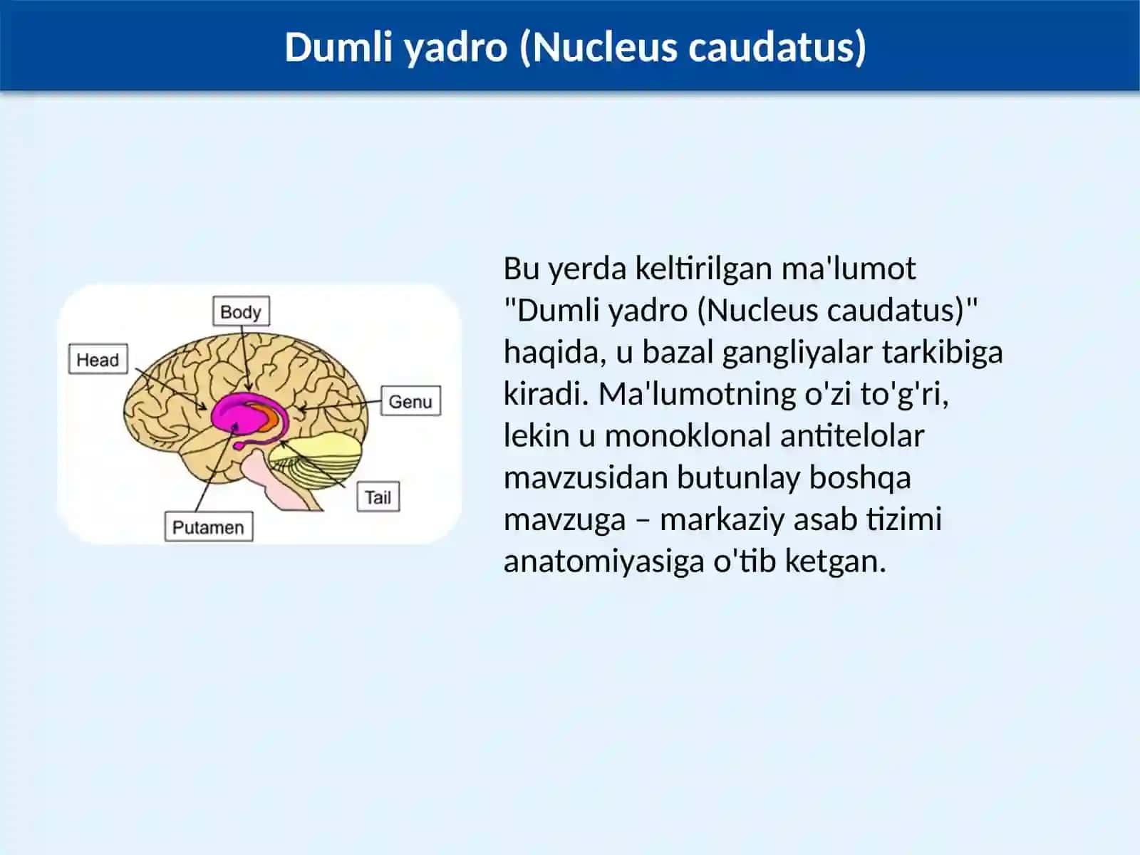 Bazal o'zaklarning kliniko-anatomik ahamiyati 4