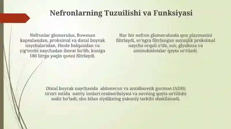 Ayiruv sistemasi. Buyraklar fiziologiyasi 4