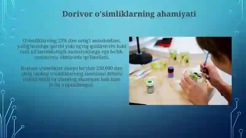 Dorivor o'simliklarning ahamiyati va tibbiyotda qo‘llanilishi 4