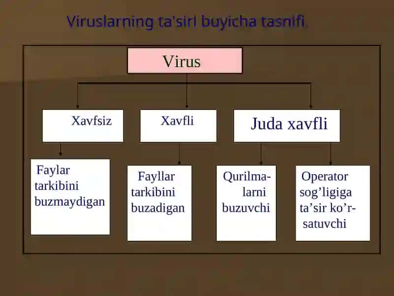 Virus va antivirus dasturlar. Viruslarning kompyuterga tushish sabalari va kompyuterni virusdan himoya qilish 4
