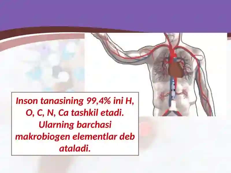 Biogenelementlar va ularning tirikorganizmlardagiahamiyati 4