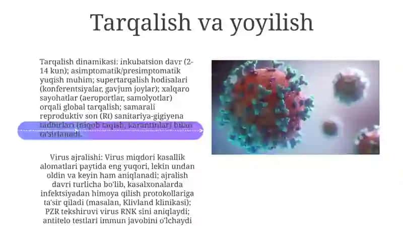 Oitsvirusi 4