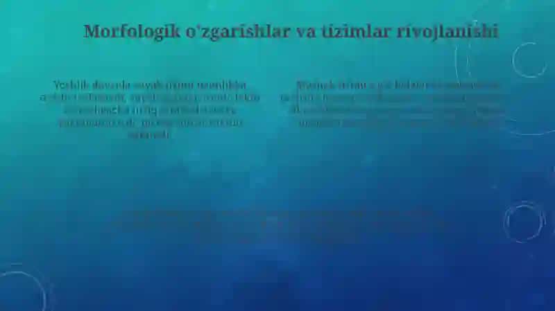 Yosh davrlarining morfologik va fiziologik xususiyatlari 4