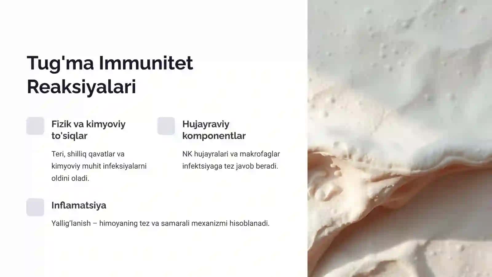 Immun Himoya Reaksiyalarining Morfologik Asoslari 4