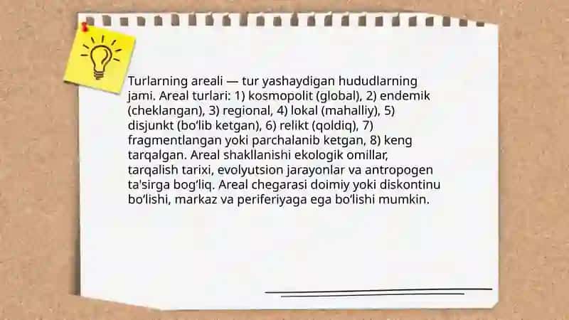Arealogiya 4