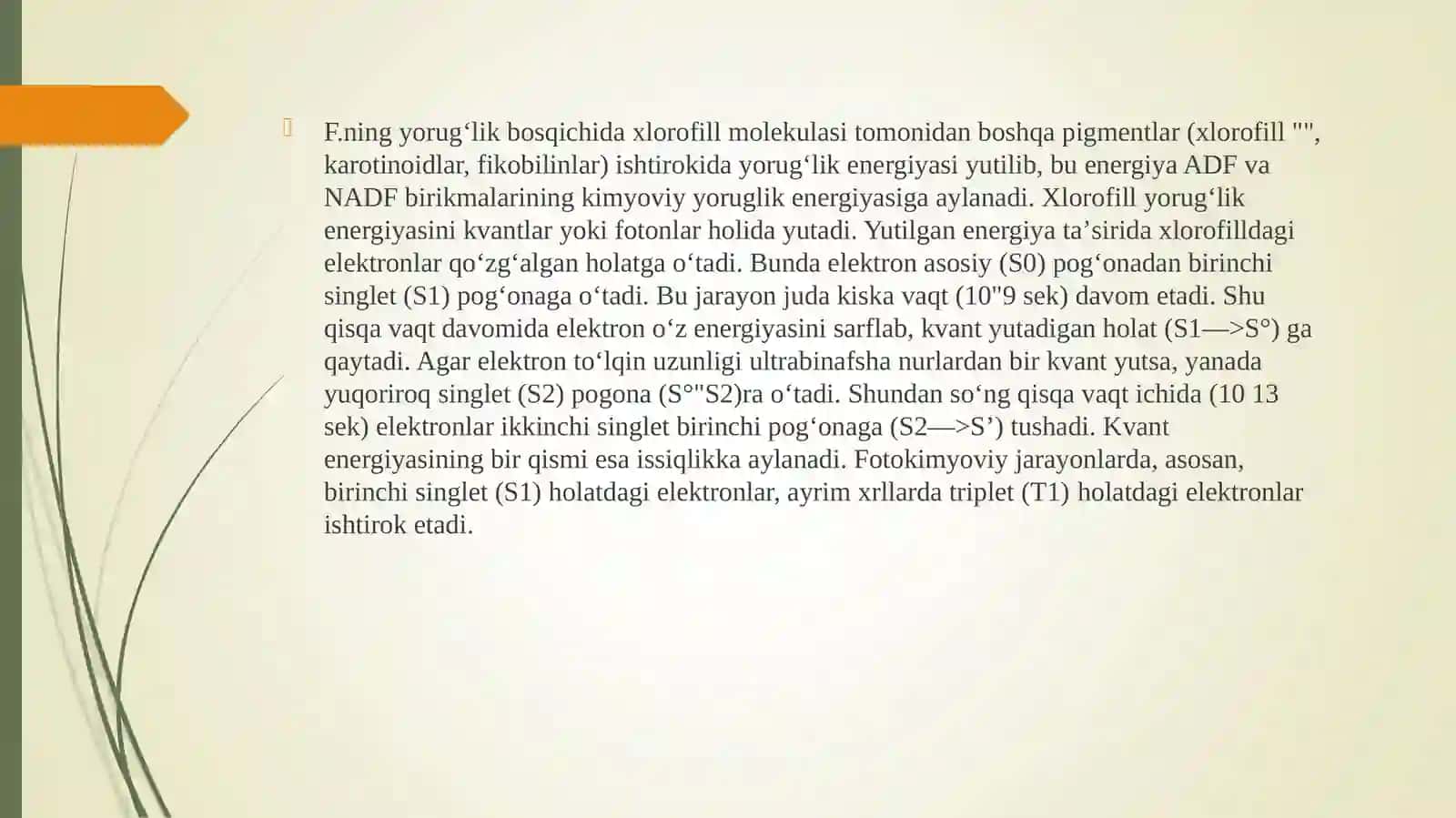 Fotosintezning yorugʻlik bosqichi 4
