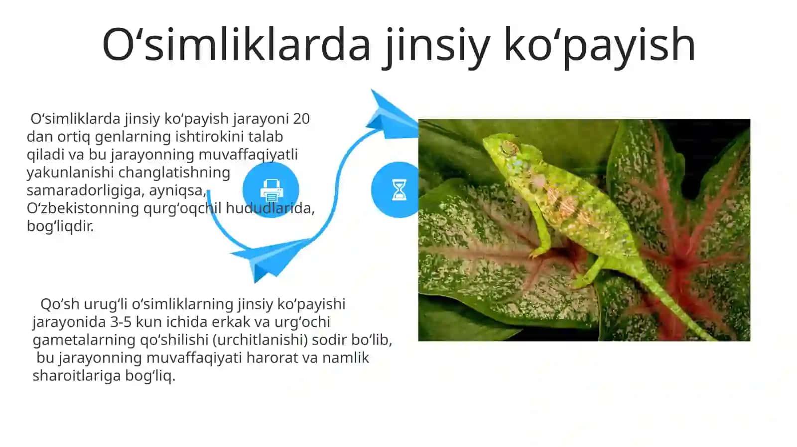 Jinssiz va jinsiy koʻpayish oʻsimliklarda 4