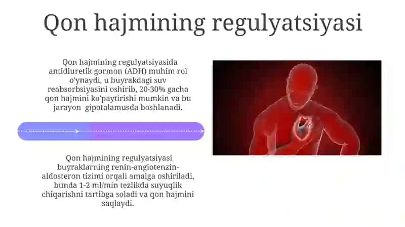 Yurak, qon tomirlari, qon aylanishi va qon bosimini tartibga solishning fizik mexanizmlari 4