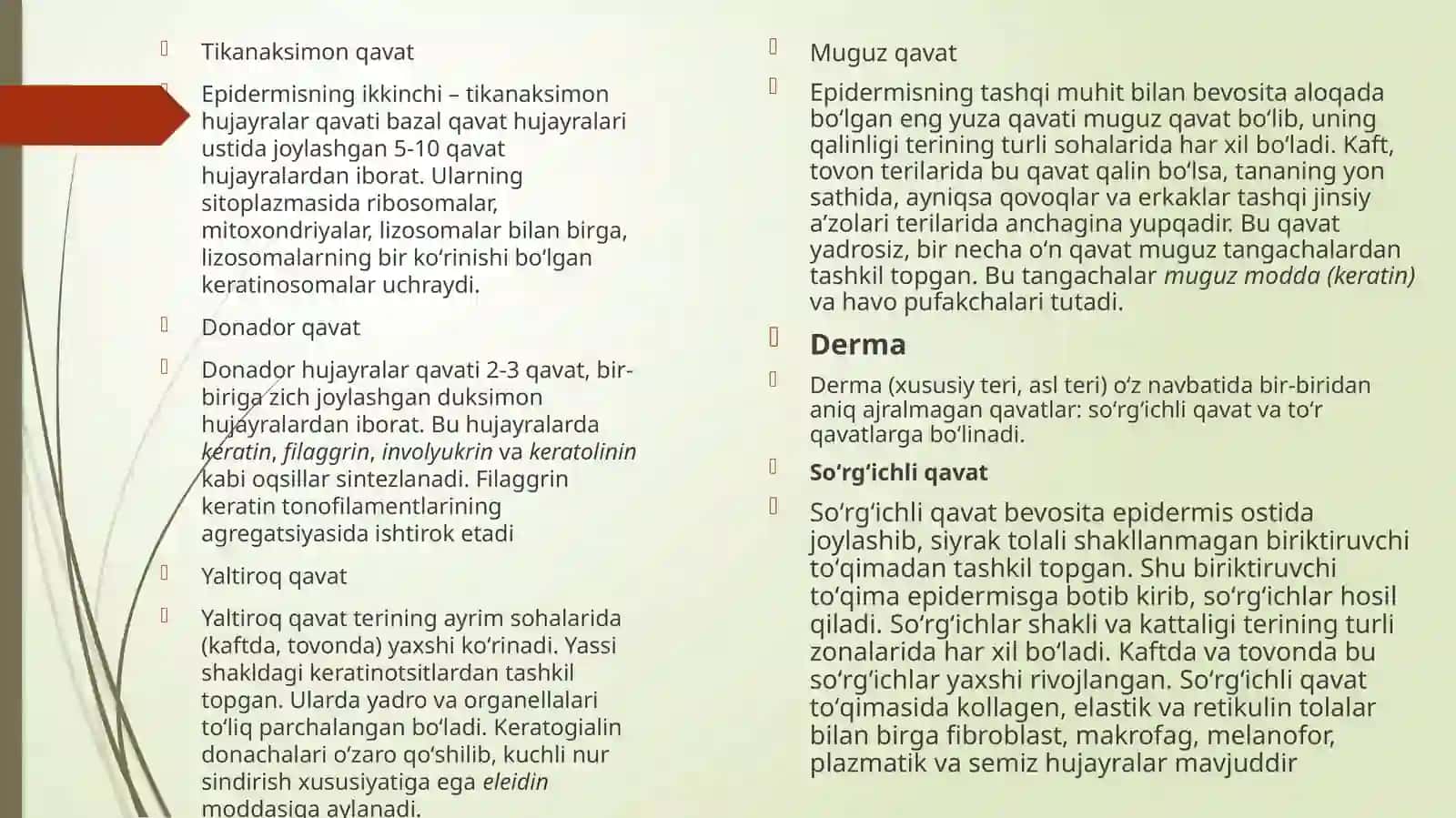 Terining umumiy patomorfologiyasi. Bolalar terisining o‘ziga xos xususiyatlari 4