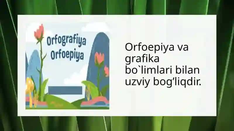 Orfografiktahlil 4