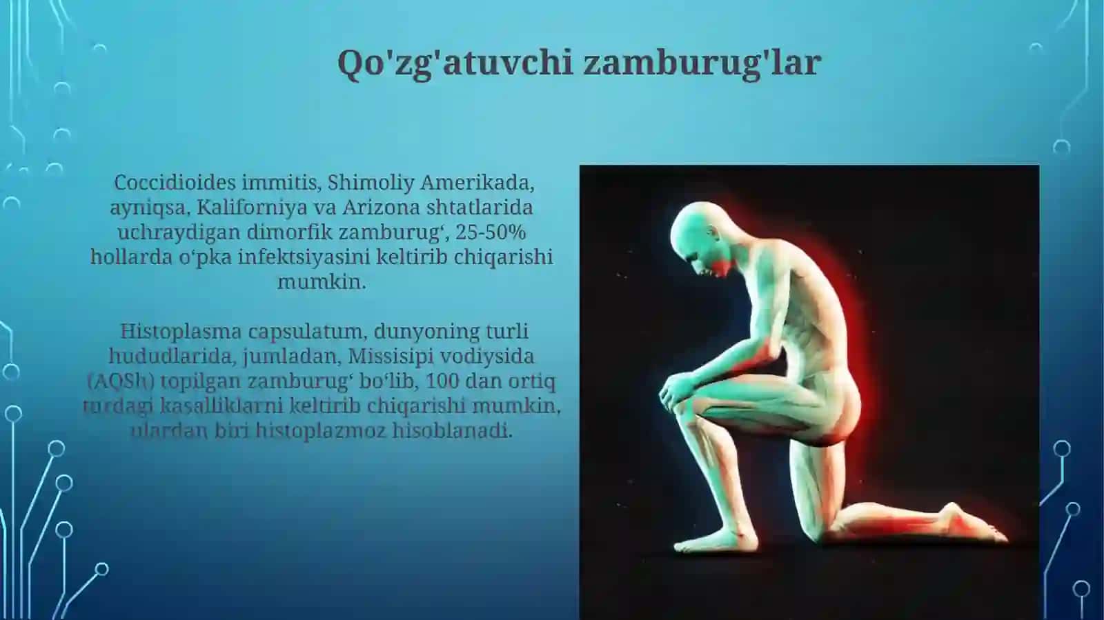 Chuqurmikozlar 4