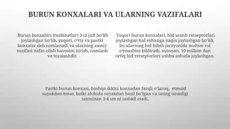Burun boʻshligʻi tuzilishi va anatomiyasi 4