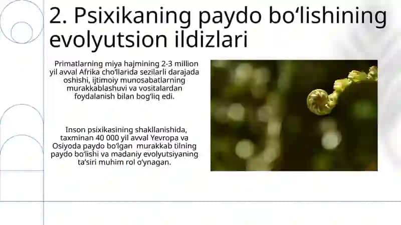 Psixikaning evolyusiyasi va vujudga kelishi 4