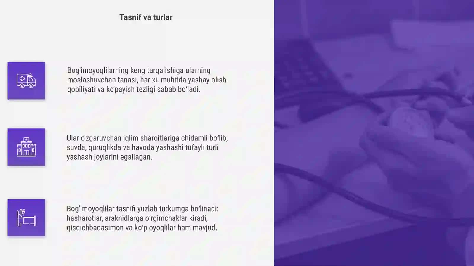 Bog'imoyoqlilarning keng tarqalish sabablari 4