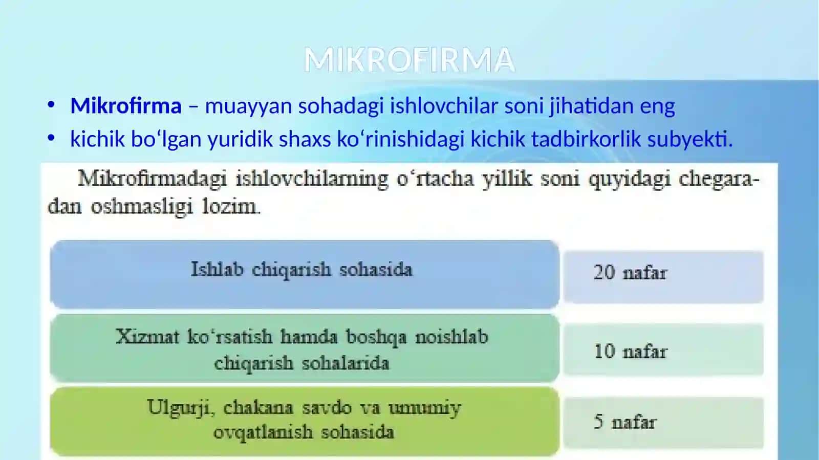 Kichik Tadbirkorlik Subyektlari 4