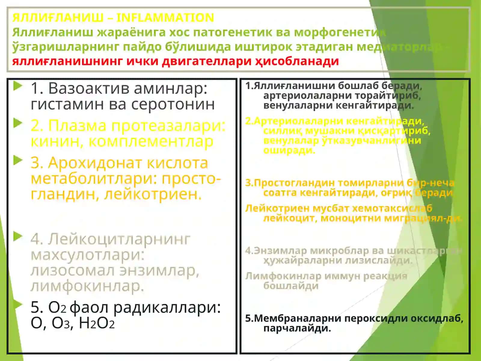 Яллиғланиш 4
