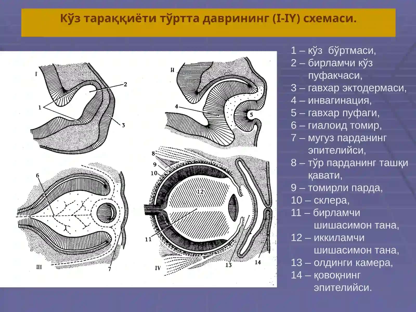 СЕЗУВ АЪЗОЛАРИ 4