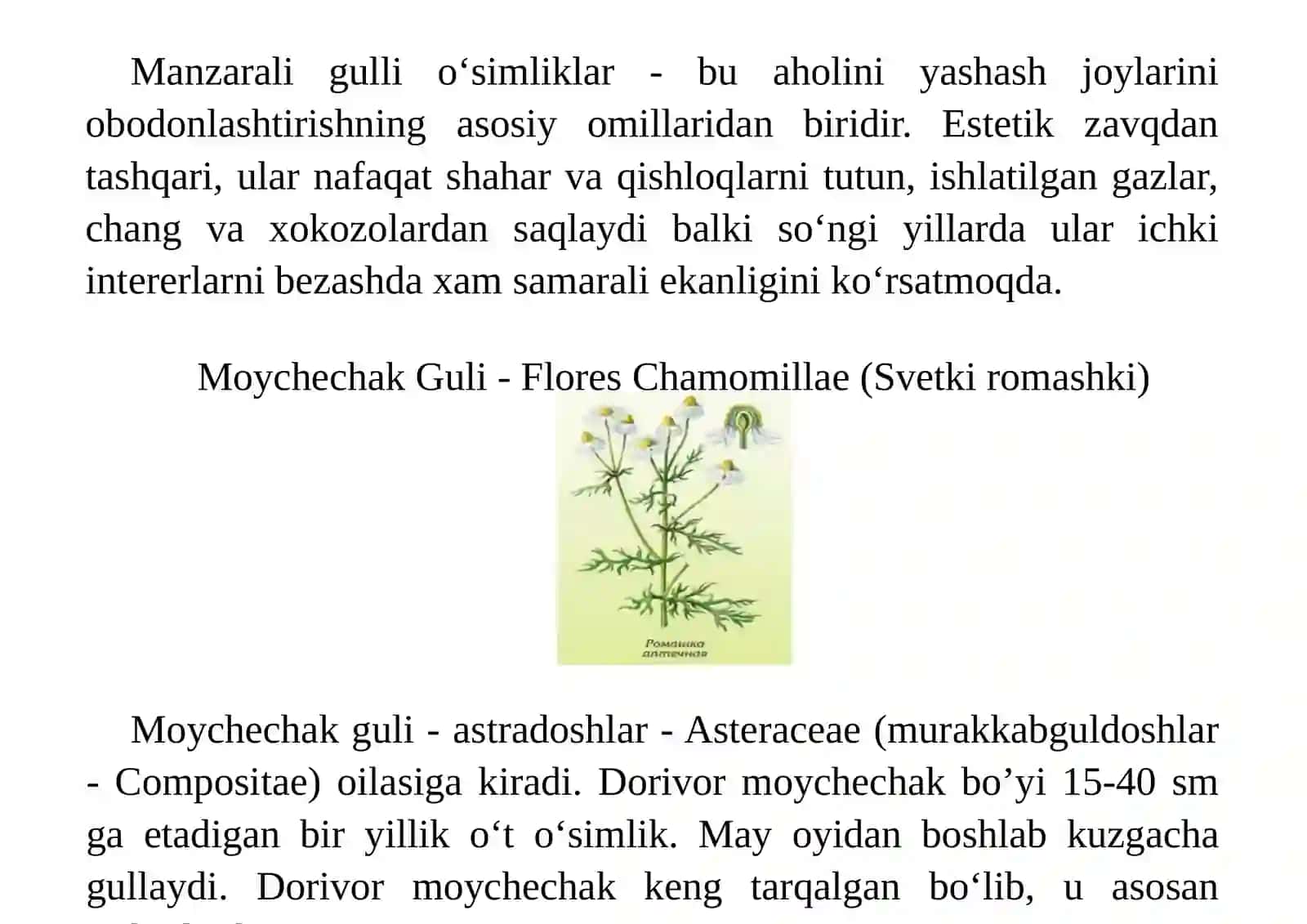 Murakkabguldoshlar(Asteraceae)oilasigamansubmanzaraligullargatavsif 4