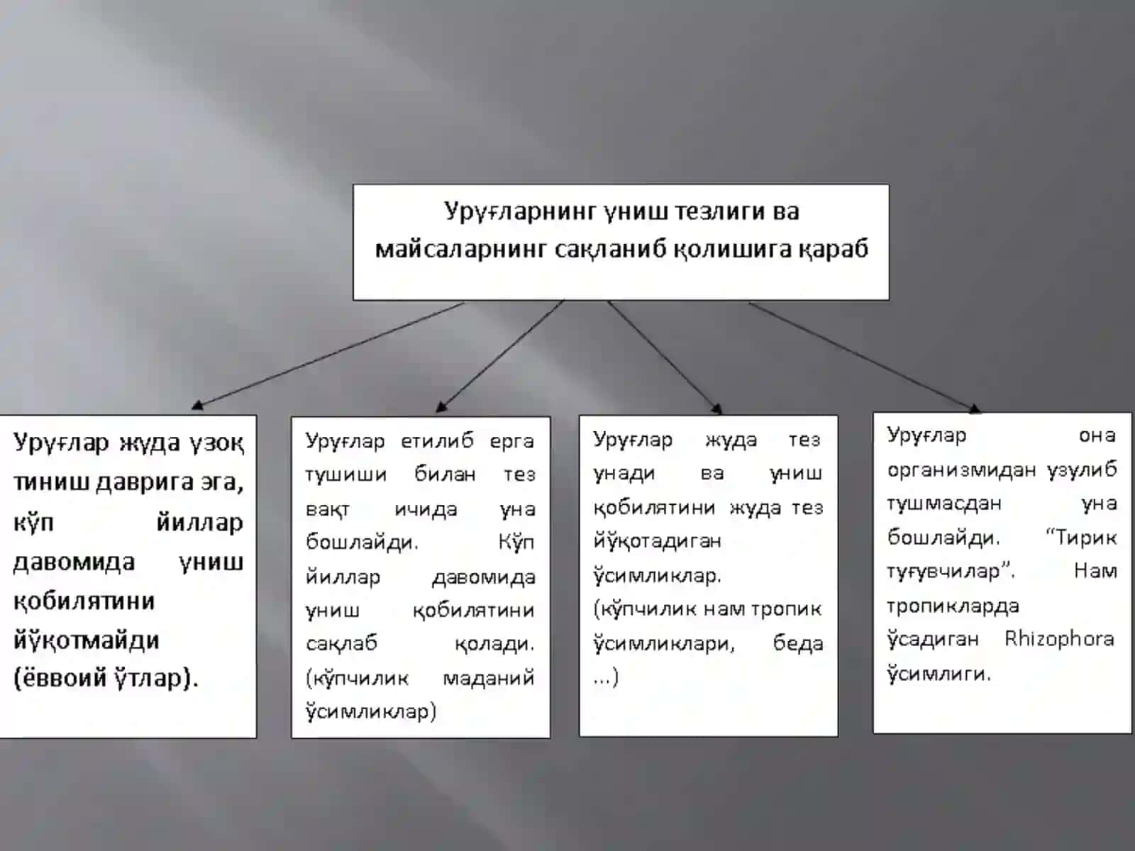 Urug’larning unishi va maysaning tuzilishi 4