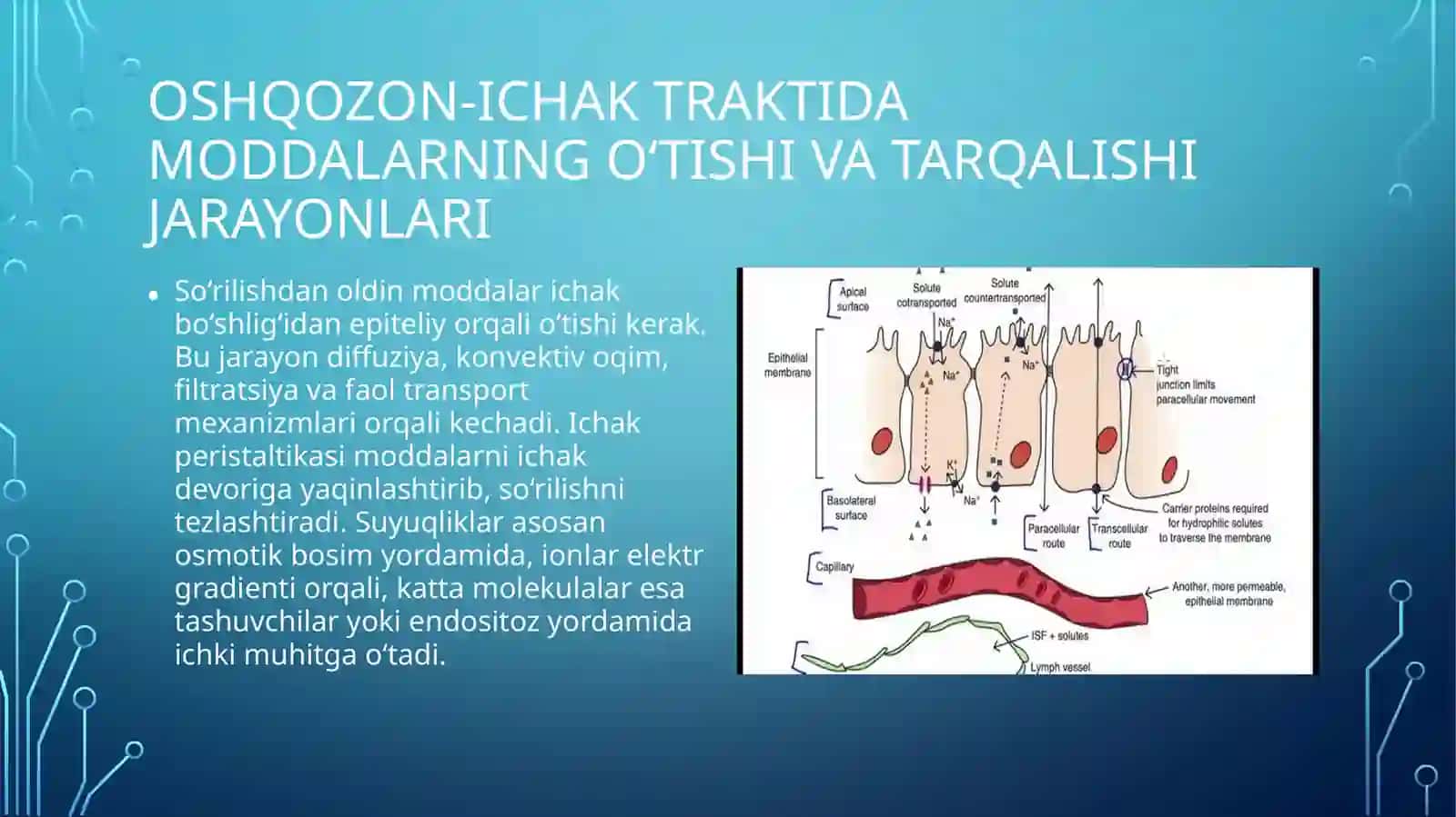 Biofizika - Oshqozon-ichak traktida soʻrilishning biofizik mexanizmlari (10 slayd PPT 4