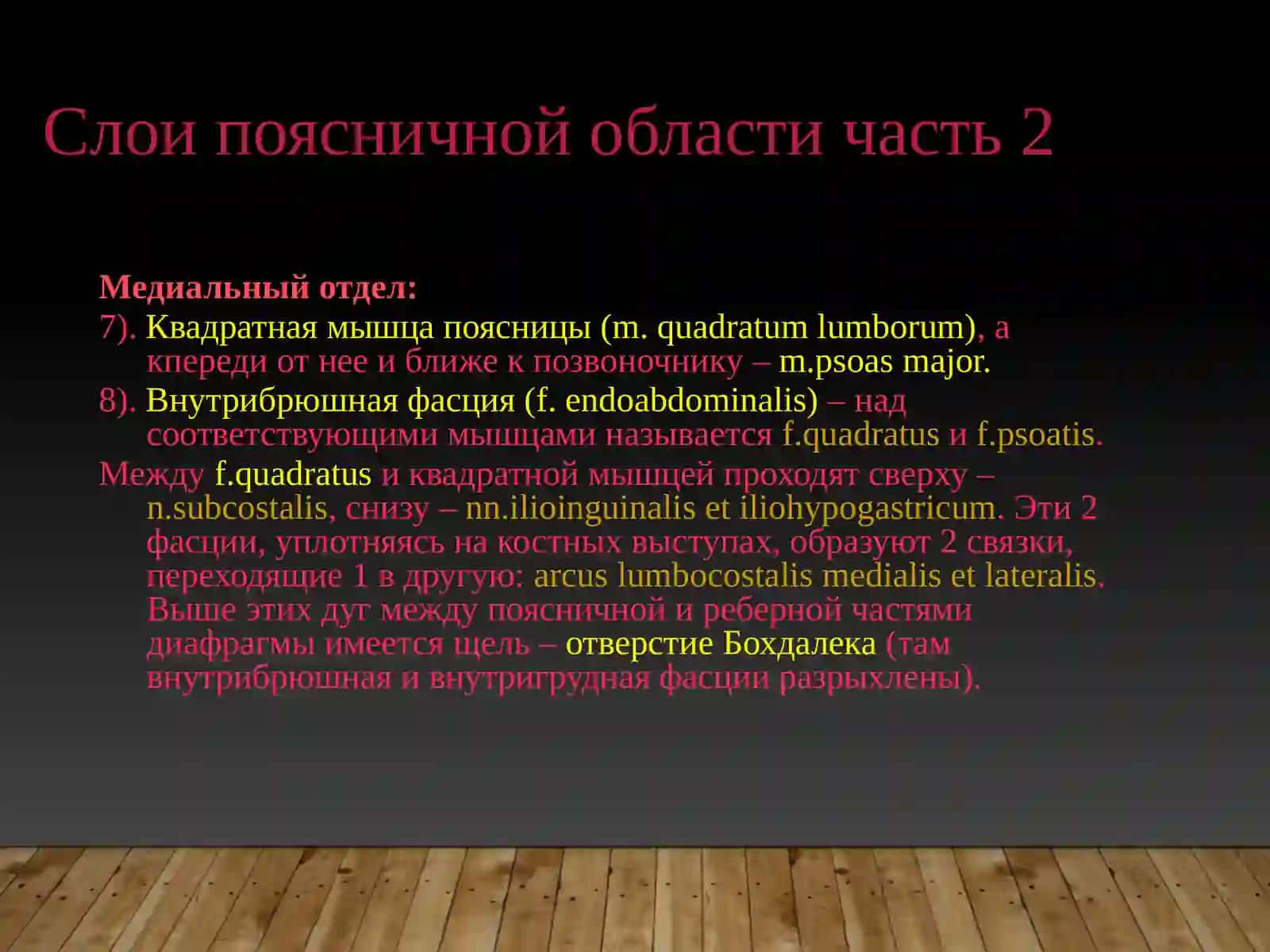 Клиническая анатомия поясничной области 4