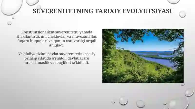 Davlat suverenti va uning konstitutsiyaviy asoslari 4