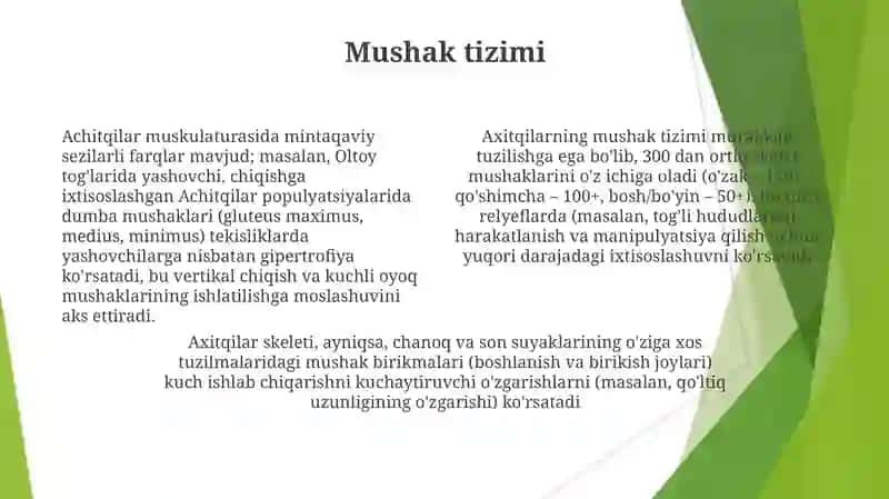 Achitqilar morfologiyasi 4