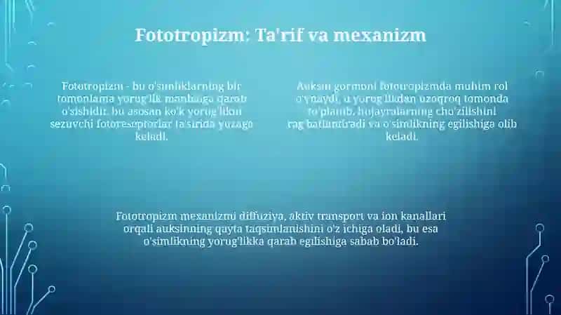 Oʻsimliklardagi fototropizm, fotonastiya geotropizm hodisalarini kazatish 4
