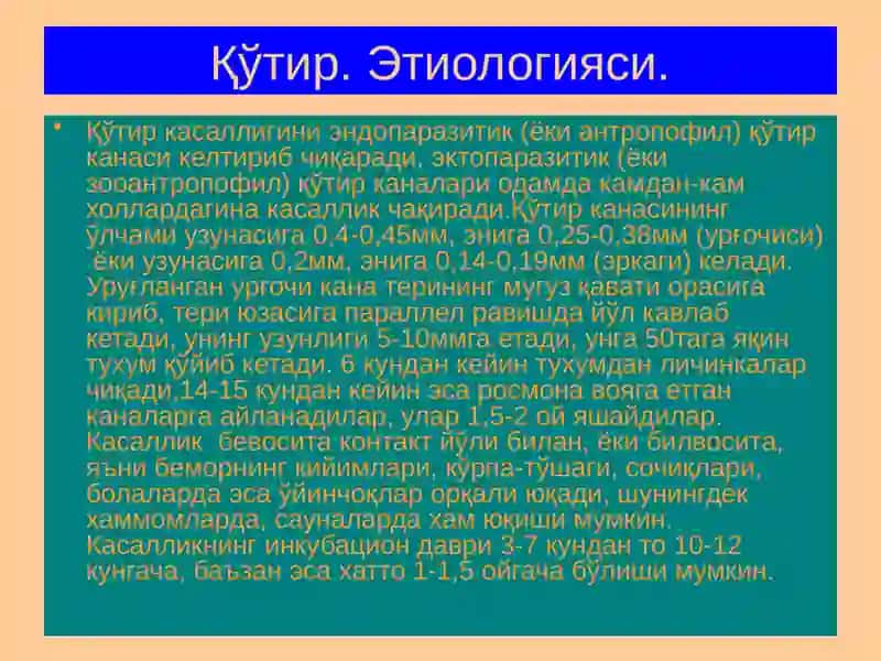 Терининг тузилиши, морфологик элементлари 4