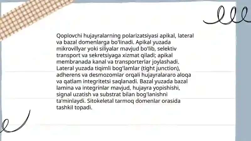 Qoplovchi toʻqima: Tuzilishi va ahamiyati 4